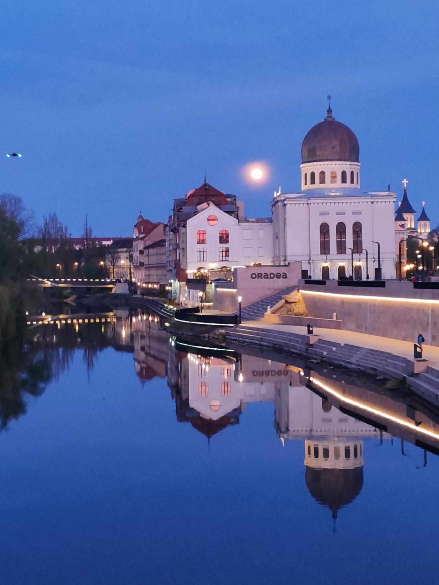 Victoria Apartment 1901 Oradea Bagian luar foto