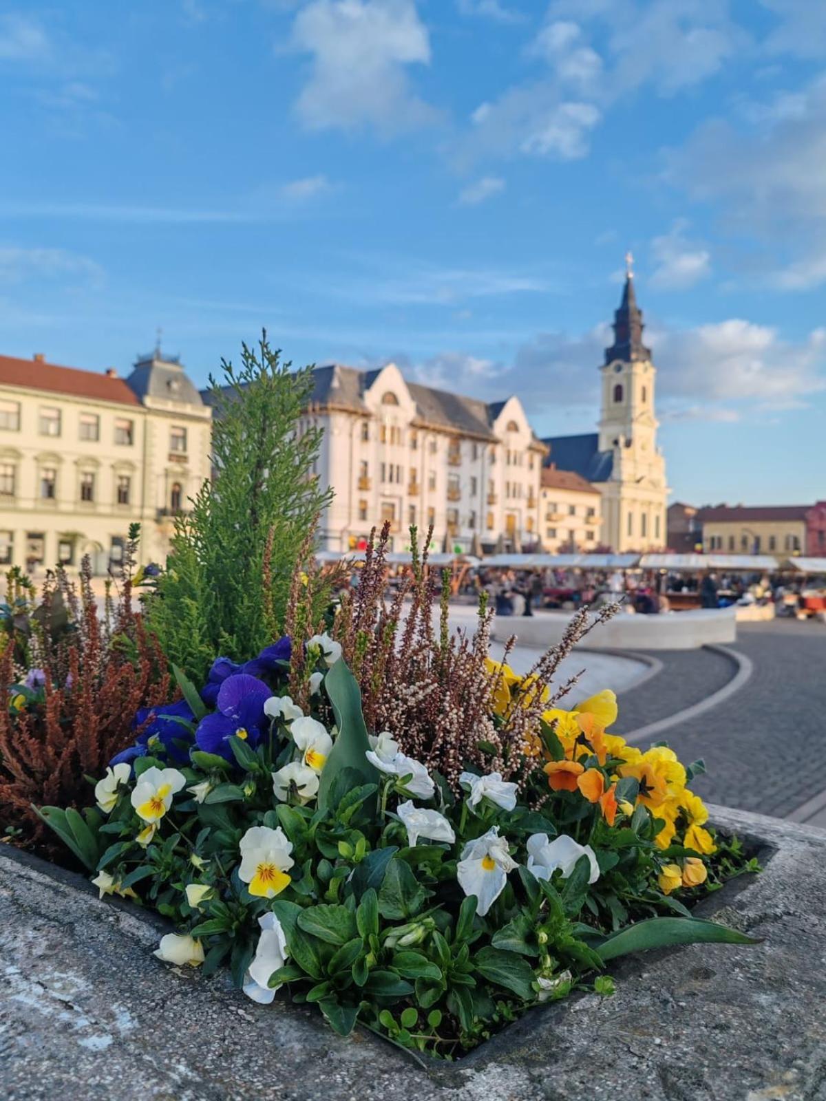 Victoria Apartment 1901 Oradea Bagian luar foto